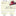 Delaware State University Return Address Labels