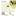 Norfolk State University Envelope Seals