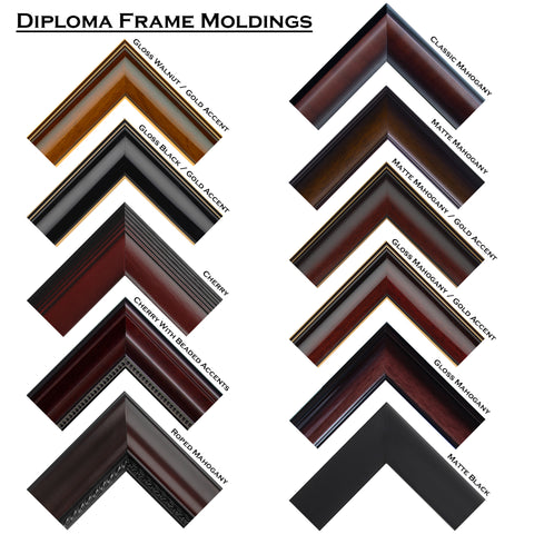 University of St. Augustine for Health Sciences Diploma Frame (DSNT)