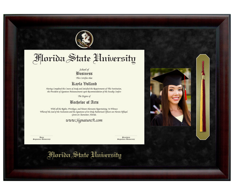 Main Diploma Frame SNTP